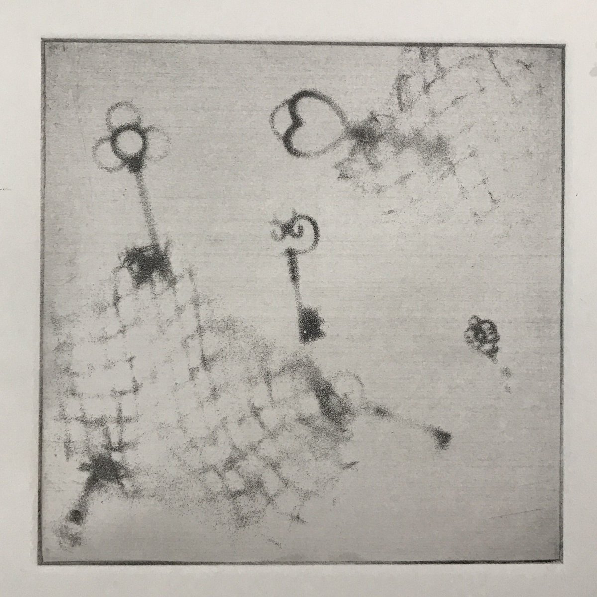 kewartstudio's tweet image. Exciting developments at this evening’s etching class! 
#etching #softground #spitbite #aquatint #spraypaintresist #printmaking #experiment