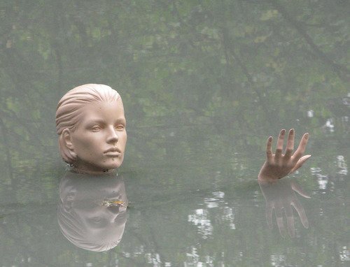 archillect's tweet image. 