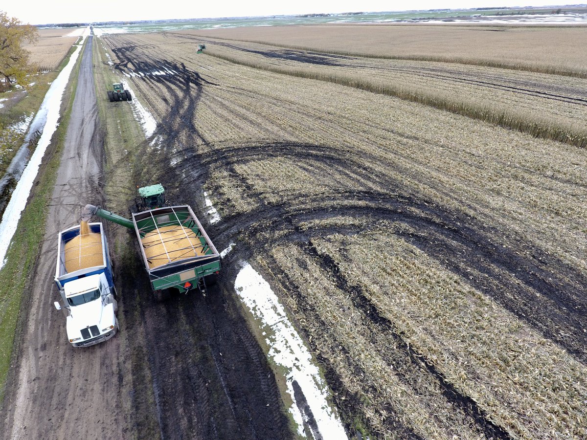 CameronHild's tweet photo. It’s a bit messy out there! #Corn #harvest19 after Oct #mbstorm. https://t.co/r8hLGuGbn6