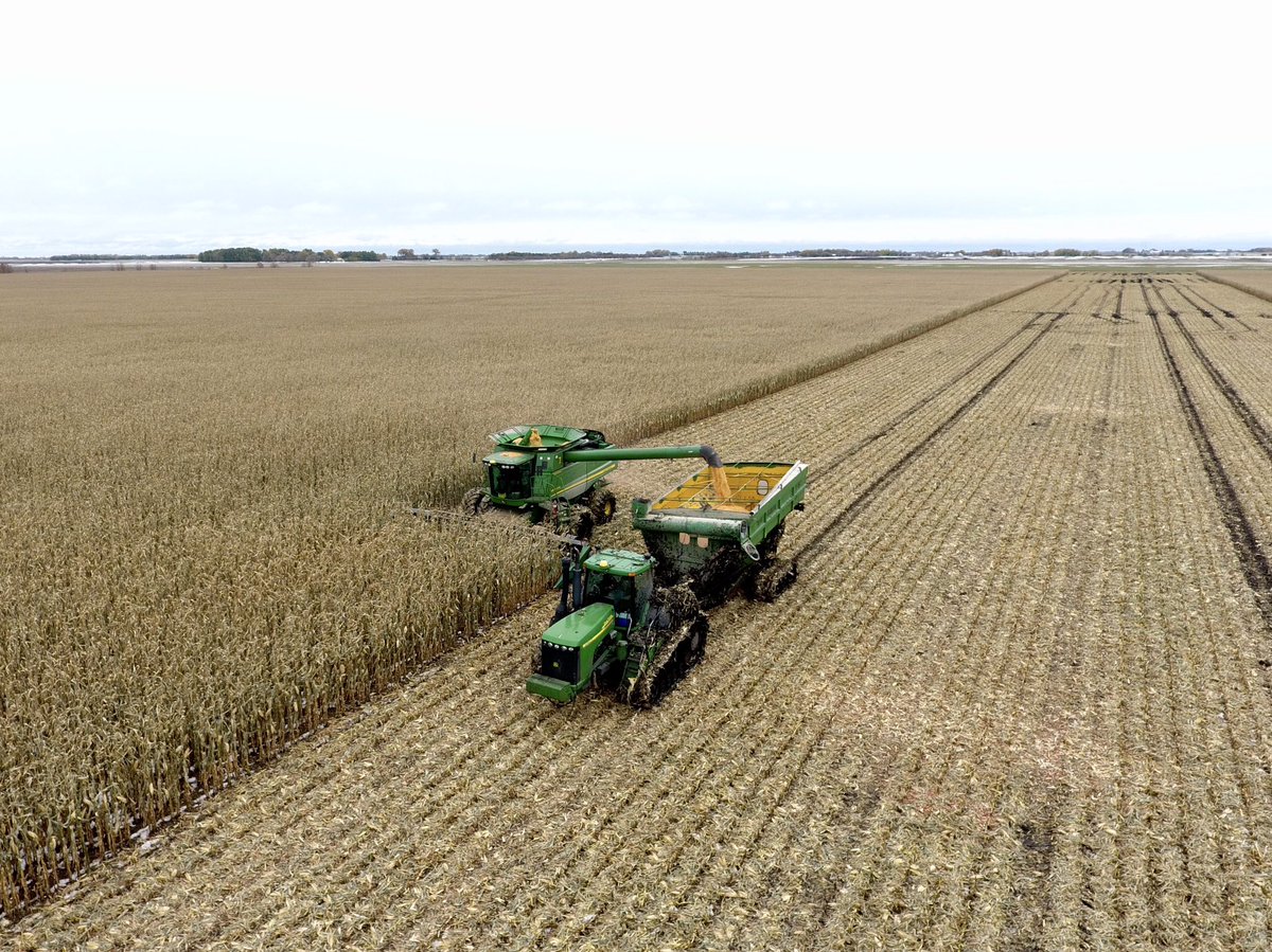 CameronHild's tweet photo. It’s a bit messy out there! #Corn #harvest19 after Oct #mbstorm. https://t.co/r8hLGuGbn6