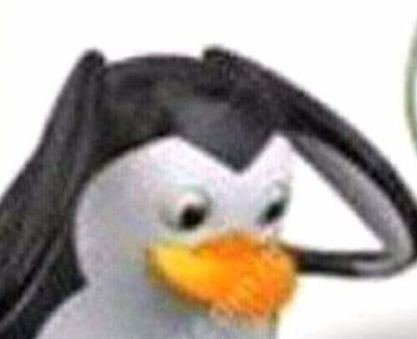 BielConn 🇧🇷 tweet media