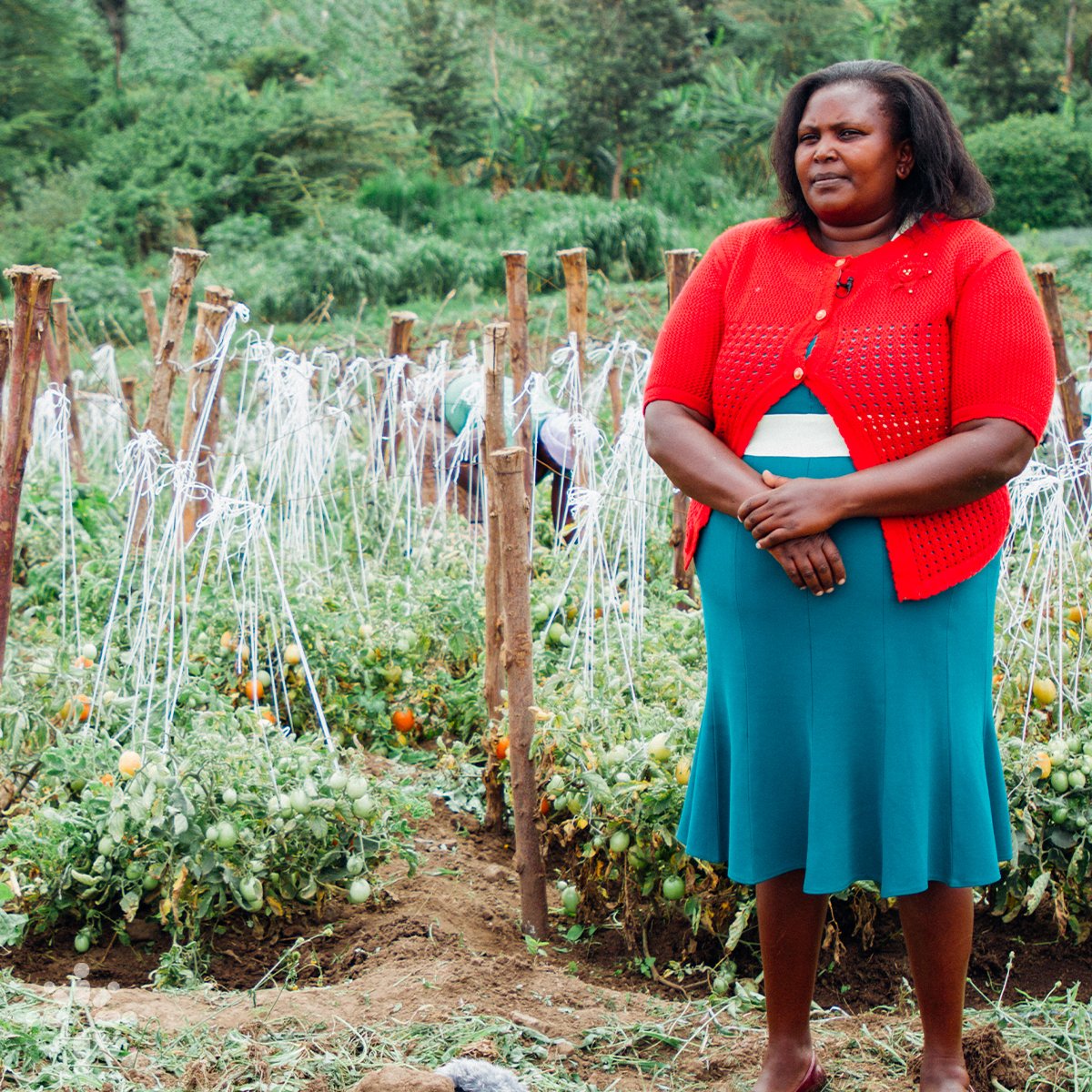 UnboundOrg's tweet photo. Diana Rose is not your typical CEO. She started farming in 2015 when she received a loan of 10,000 Kenyan shillings (about $100) through an Unbound mothers group. Now she operates a small, thriving farm on the outskirts of Nairobi, Kenya. Read her story: https://t.co/Jot2TJbYCu https://t.co/HlraP9VqMs
