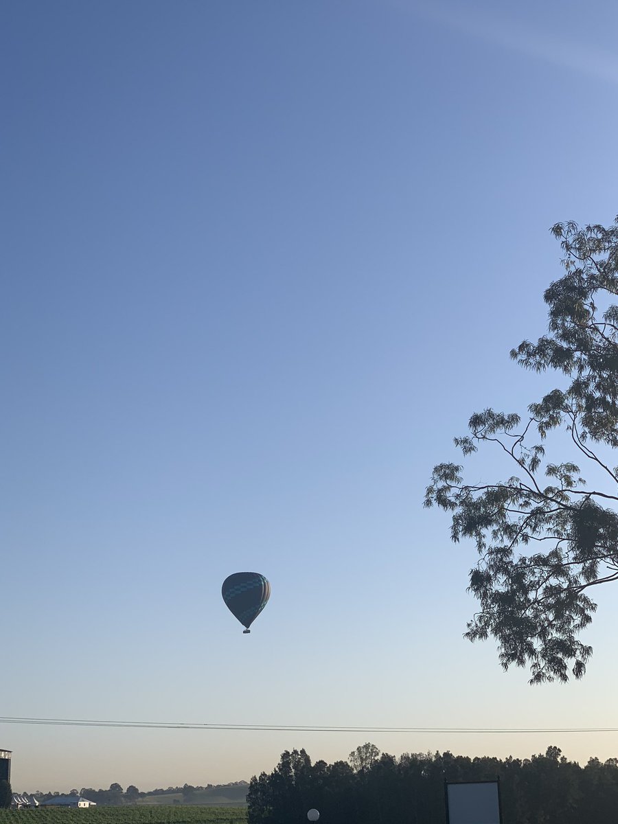 KKHSprojectNEST's tweet photo. It’s a beautiful day in the Hunter Valley for day 2 of #nest19 https://t.co/GtpXH8Yqmd