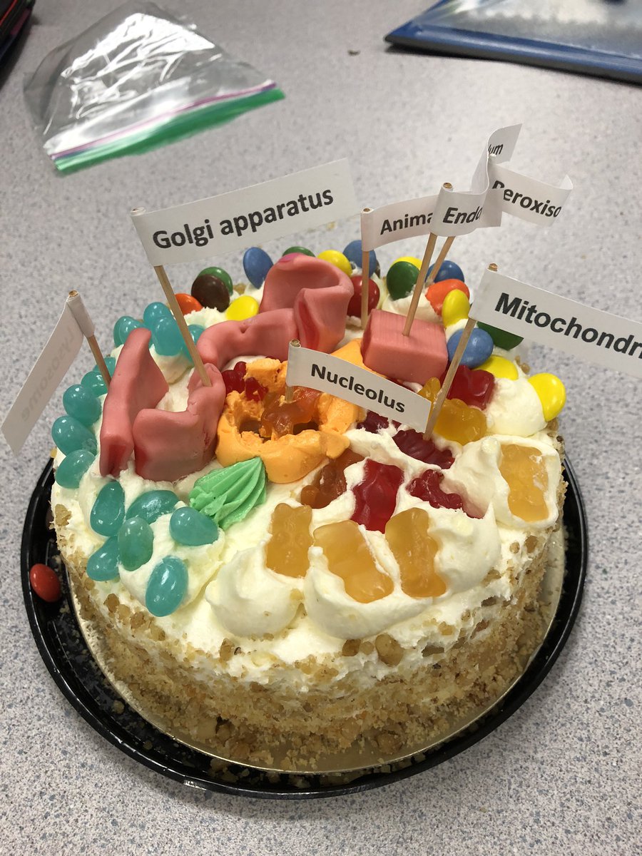 MrMagsOffice's tweet photo. The #edible cell #tastylearning @Surrey_Schools #sd36learn https://t.co/0Tr01i9MPs
