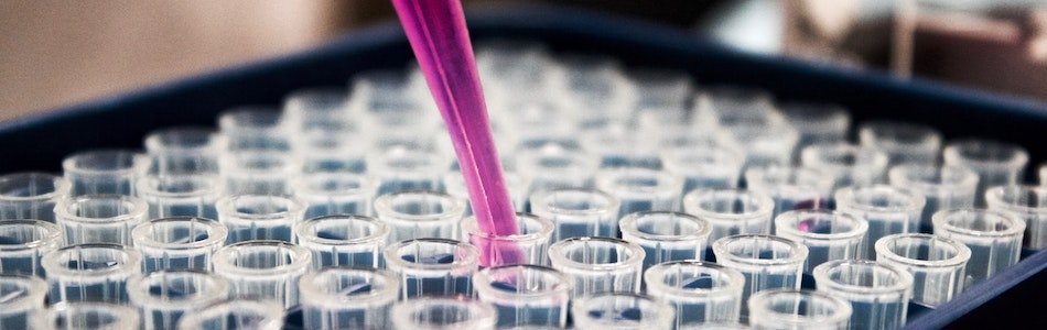 "After almost two decades of testing and measuring marketing campaigns and funnels, I still don’t go with my gut or with best practices — because these don’t lead to the objective truth." Victory co-founder <a href="/chrischilek/">Chris Chilek</a> 

medium.com/victoryteam/a-…