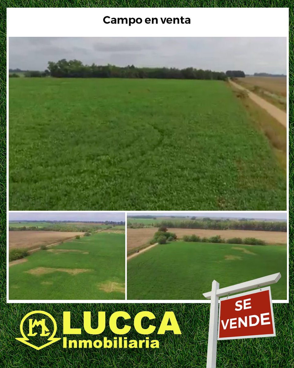 luccaInmo's tweet image. se trata de una parcela con buen acceso sobre camino real, de buenos rindes y con aptitud agrícola.

luccainmobiliaria.com.ar/detalle/venta/…