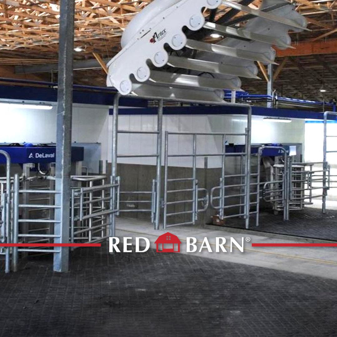 RedBarnMats's tweet photo. This project in the Fraser Valley of B.C. chose to use Diamond Traction Rolls in the Feed Alley and Crossovers for the durability, increased traction, and high rated cow comfort.
#redbarn #cowcomfort #rolledrubber #dairy #fraservalley #nwrfarm #rubber #stallmat #barn #farmlife https://t.co/5cP2QSLfjD
