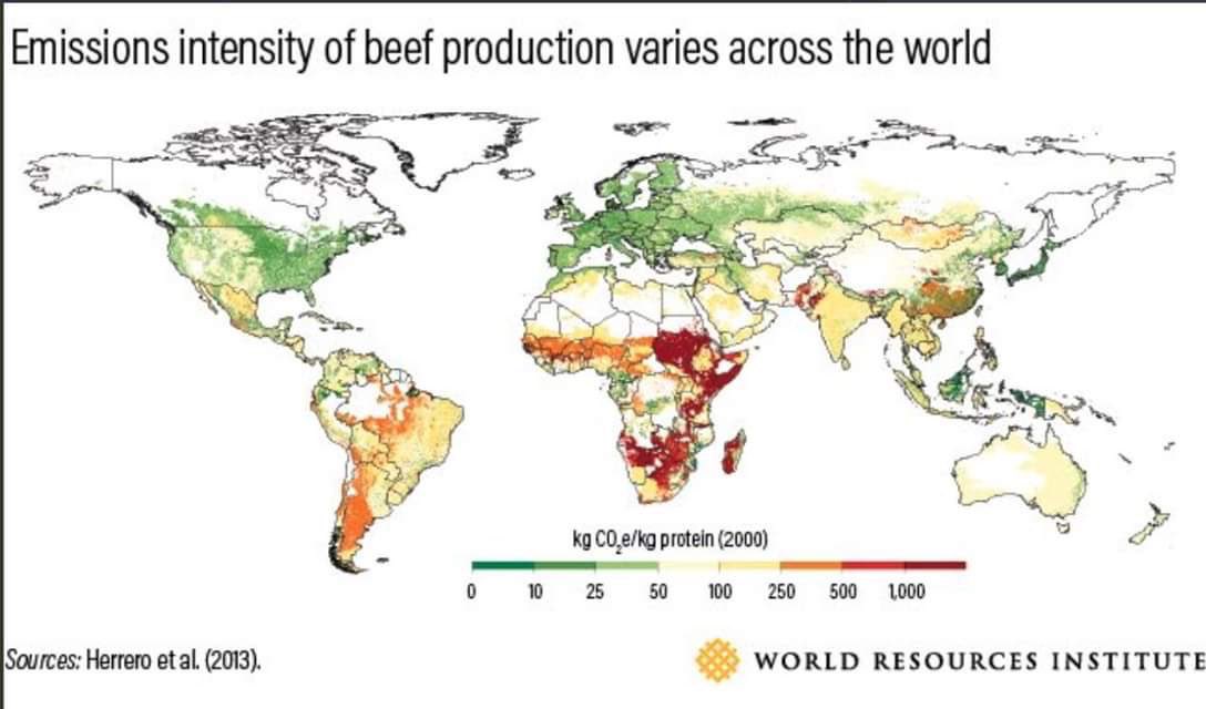harrym_vids's tweet photo. Excellent letter to LH. My hope in all of this is traditional farming methods will soon be recognised for the good they can do for the environment, rather than the opposite. UK grass-fed beef is about as sustainable as it gets, as shown here.. https://t.co/IP2aFiEv4j