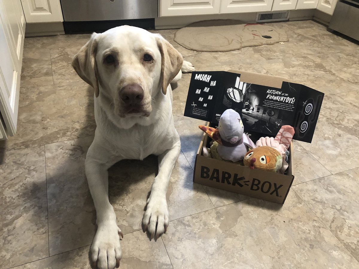bessers115's tweet photo. We love @barkbox delivery days!!! ❤️❤️ https://t.co/jAmt8KdYYD