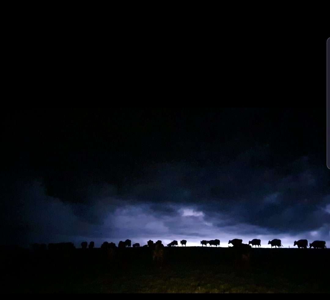 Nice little storm over here ⚡⚡