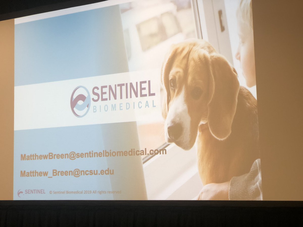 awebermph's tweet photo. What’s grabbed my attention at #TGHC2019? Pups, of course. “When you go home tonight, pet your dog.” Love the puppies, love @SentinelBioMed’s passion for advancing animal health. #TriangleGlobalHealth #OneHealth @TriangleGH https://t.co/H4hbe1XbaB