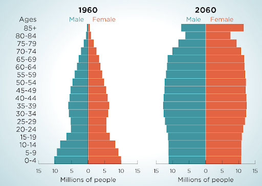 Italy vs Germany: demographic pyramid 