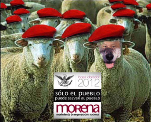 Cap Franz tweet media