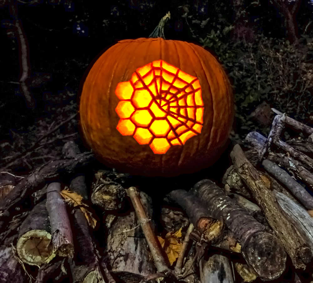 James Webb Space Telescope mirror carved into pumpkin. 