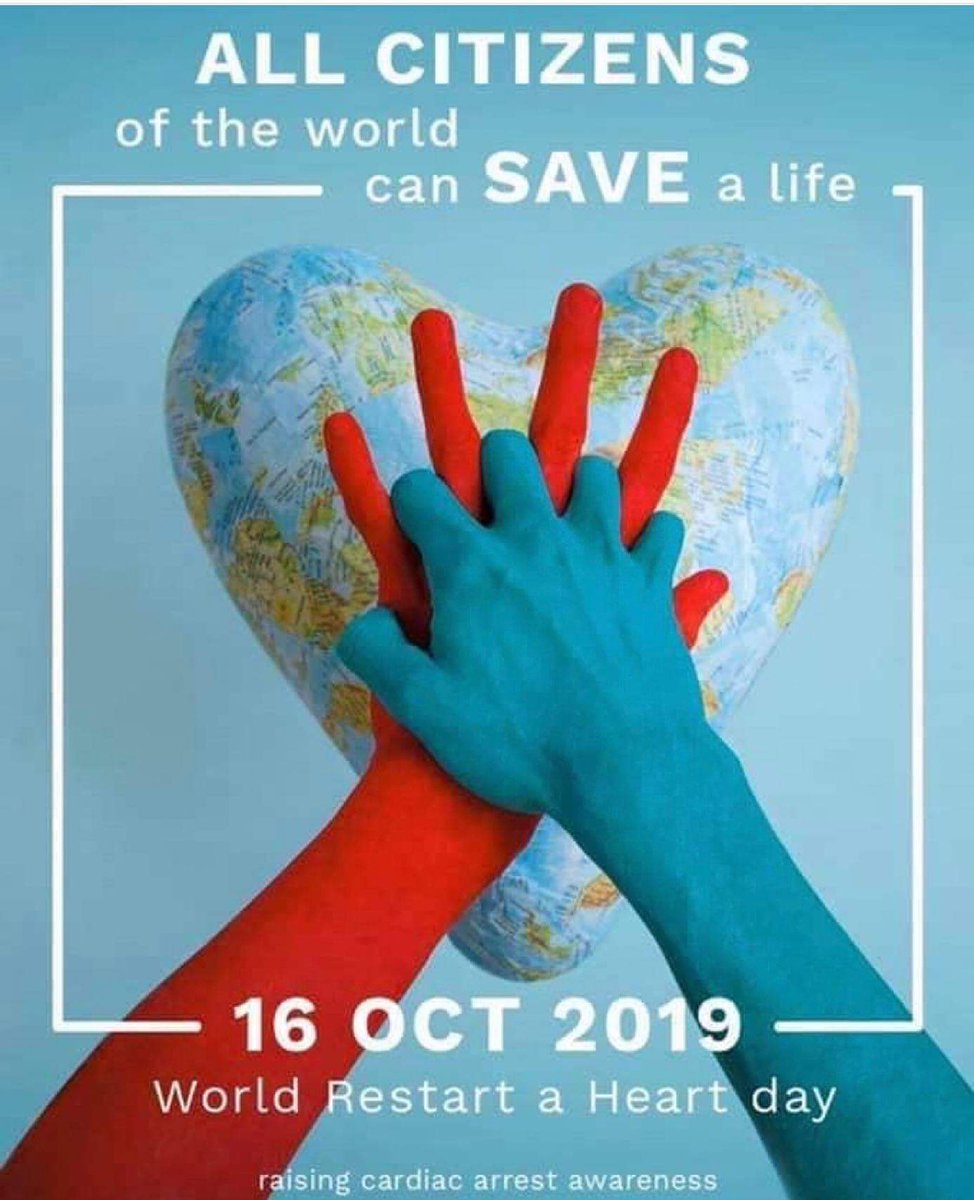 RED5 Safety Training tweet media