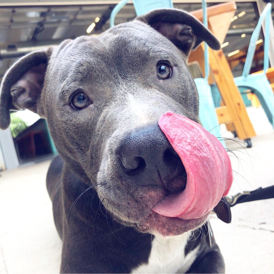 Serda Brewing tweet media