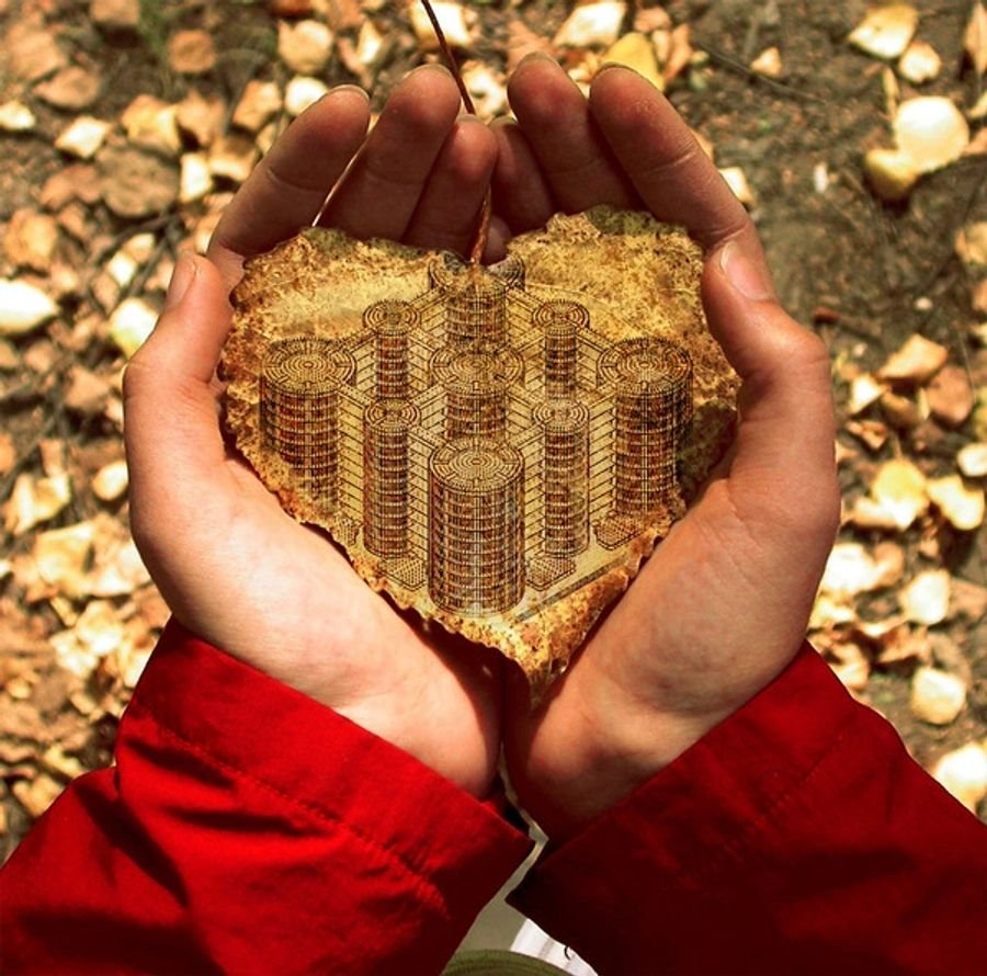 SullivanVerlene's tweet image. The Multi-Trillion Dollar Dream Projects LLC.
It starts with a dream, then the design, then the building, and then open for business.
The projects we propose are long term investments.
…ti-trilliondollardreamprojectsllc.com/invest-in-us