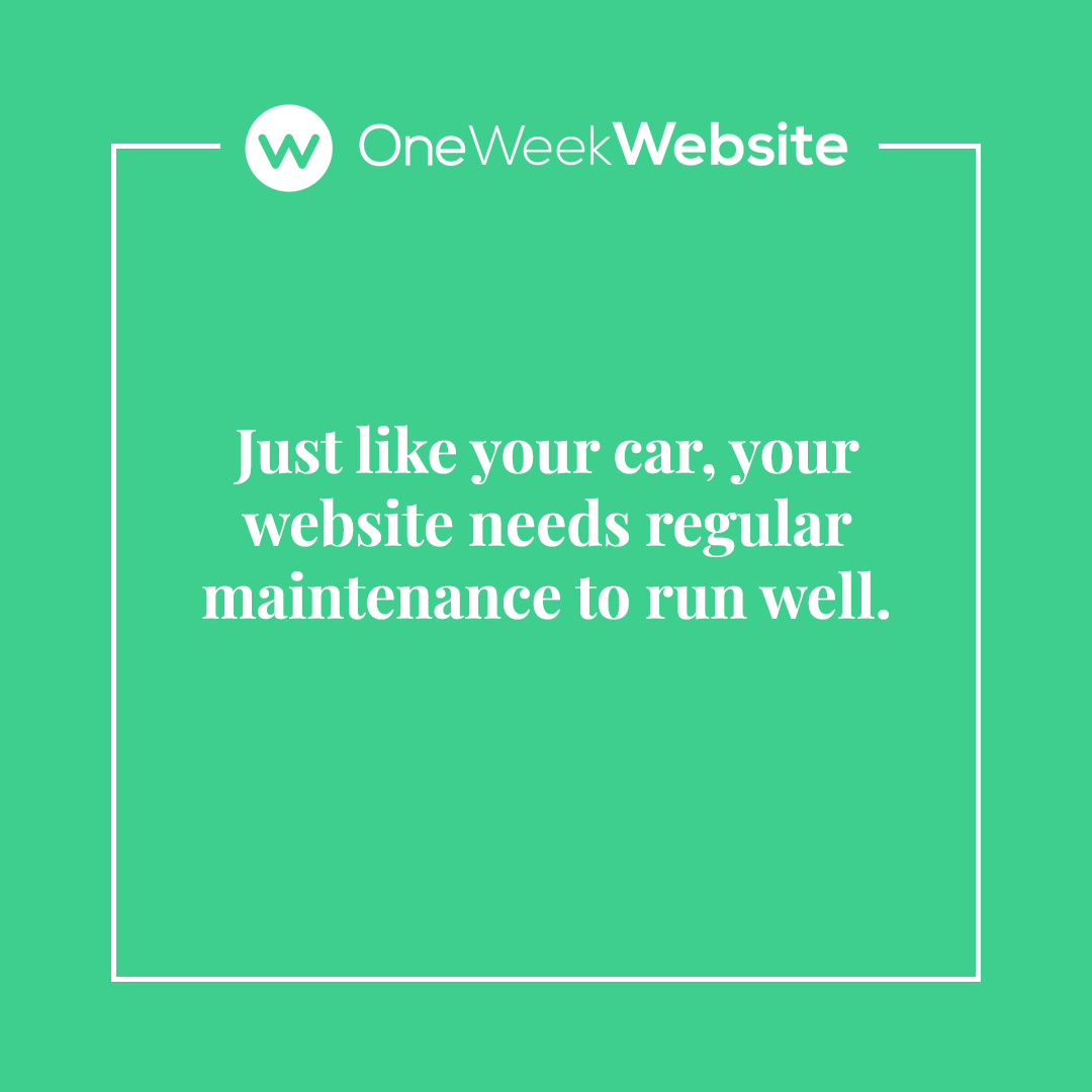 One Week Website tweet media