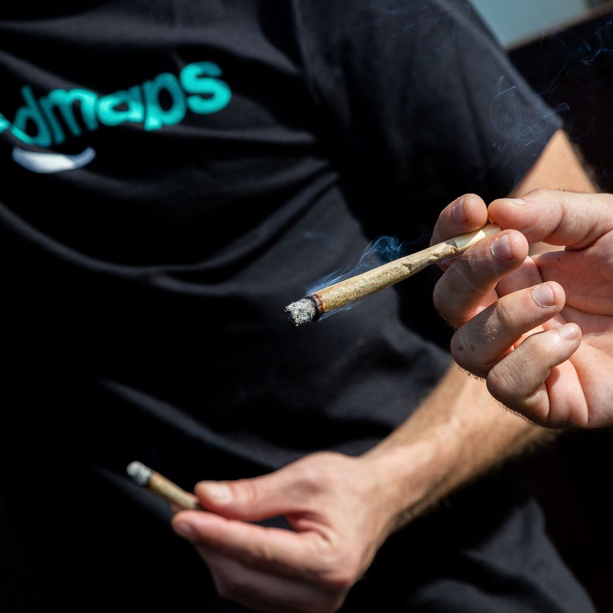 WeedmapsEs's tweet photo. Degustando una rica Super Lemon Haze para finalizar este #weednesday.

#WeedmapsSpain #cannabiscommunity #cannabisculture #cannabis #marijuana #weedlovers #greenlife #weed https://t.co/dLfoKxiP6M