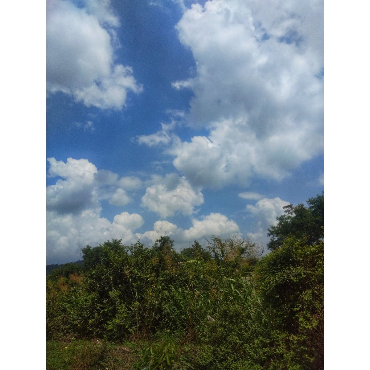 RitikaShedge's tweet photo. Her heart is in knots over the sky.. ⛅❤
#clouds #cloud #cloudporn #weather #lookup #sky #skyporn #crazysky #instacloud #instaclouds #instagood #nature #beautiful #gloomy #skyline #horizon #overcast #instasky #epicsky #crazyclouds #photooftheday #cloudskye #skyback #skylover https://t.co/mwybjYB7Ng