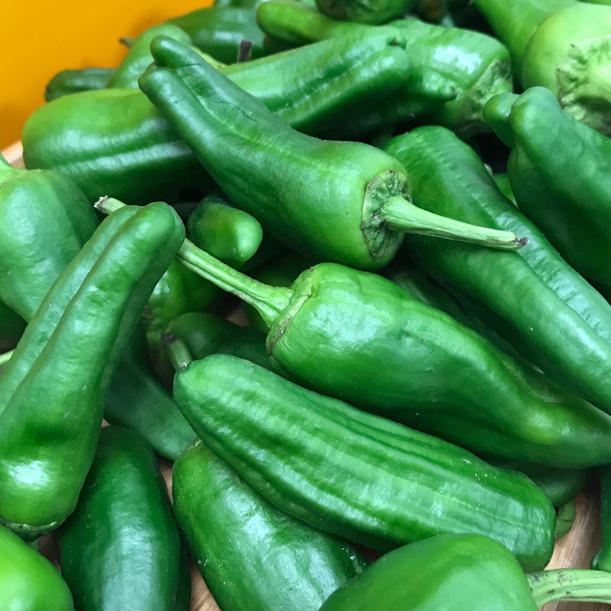 Never let it be said we don’t bring a class to life! Padron peppers ready for our inaugural Spanish Wine Scholar class! #spanishwine #spanishlife #spanishfood #allthingsspanish #bloomingmarvellous