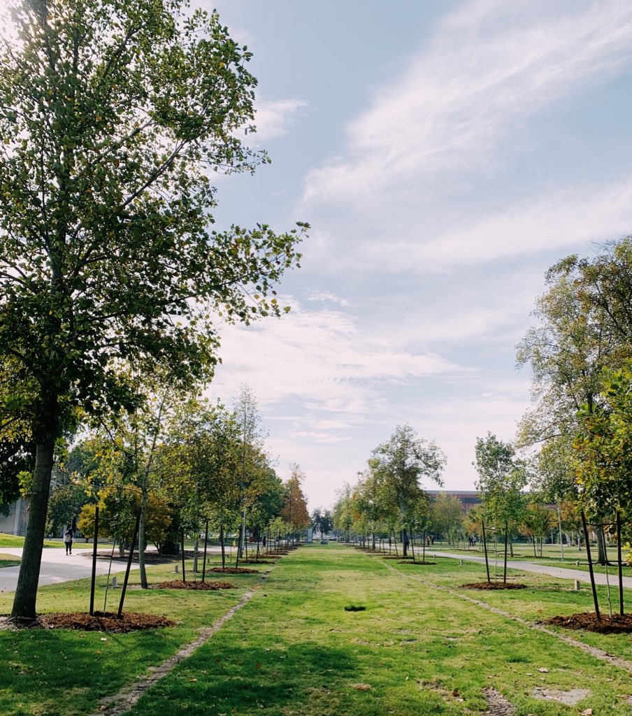 FSArboretum's tweet photo. Last weekend, about three dozen members of the community gathered at Maple Mall to plant 48 trees at the Submarine Veterans Memorial. We are extremely grateful for the opportunity to honor our veterans! 🇺🇸❤️💙🍃🌳 https://t.co/C1g8fizFIE