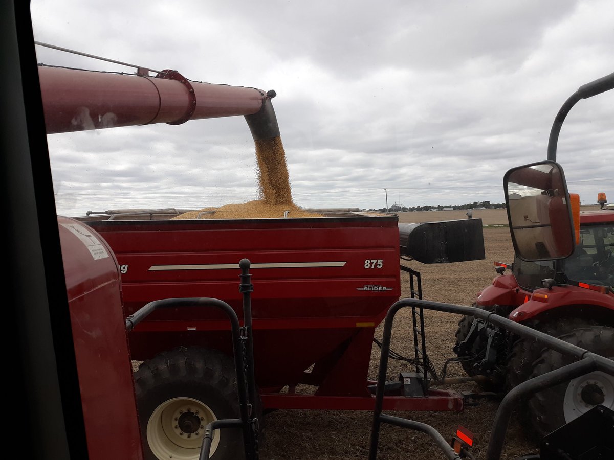 post_farms's tweet photo. @fama_il  cutting some Yieldmaster 69XXX's today. Yields are kickass like usual. https://t.co/M8nn5uQVPI