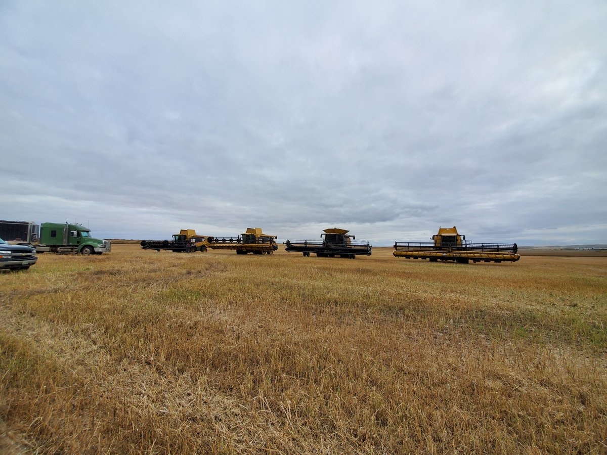 WishloffDallas's tweet photo. #harvest19 is wrapped up for us, now begins the fall field work. Best of luck to all that are still out there harvesting. And stay safe. https://t.co/jz3dB5jBeH