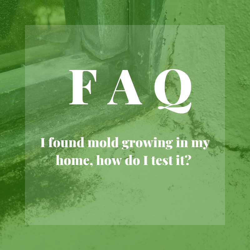 MrMoldInc's tweet photo. Before knowing how to test mold, it is important to know why you should. If you are susceptible to mold illness and mold is seen or smelled, there is a potential health risk.  you should avoid the risk and have the mold professionally tested and remediated.
#mold #test #sick https://t.co/8SVUWlnJff