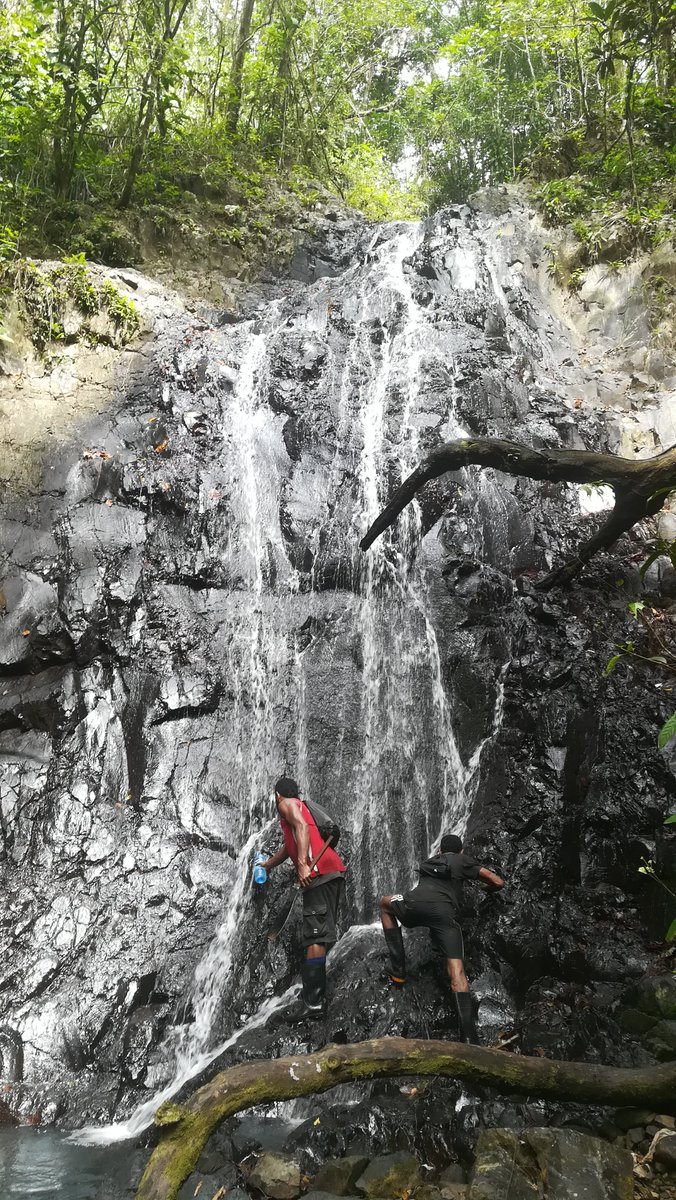 Nakau Programme tweet media