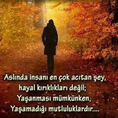 Yusuf Canal tweet media