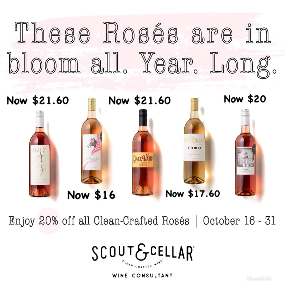 HollyMurdoch's tweet photo. If you enjoy rosé wine (or need a gift for friends that do), now is the time to purchase the @scoutandcellar rosés. These wines were made with no synthetic pesticides, chemical additives or sugar. Purchase here: https://t.co/Sh9WFpxbuS
#rosewine #healthychoices #roseallday https://t.co/erpGxh7l1c