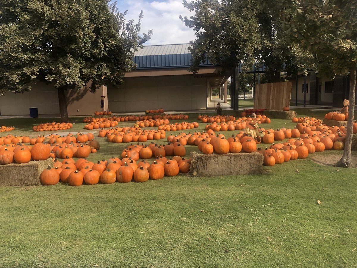 BreWells87's tweet photo. My favorite season! Such an awesome opportunity for families :) school pumpkin patch. https://t.co/PWYzfg0nEb