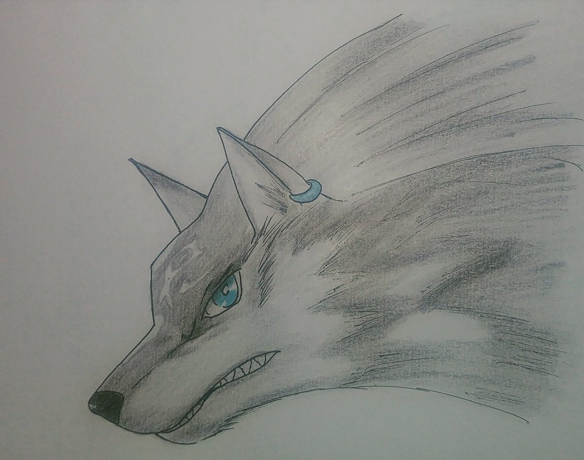 karelfanel's tweet photo. #inktoberday16 #inktober #Zelda #twilightprincess #linkwolf #fanart https://t.co/HayE8OLrBt