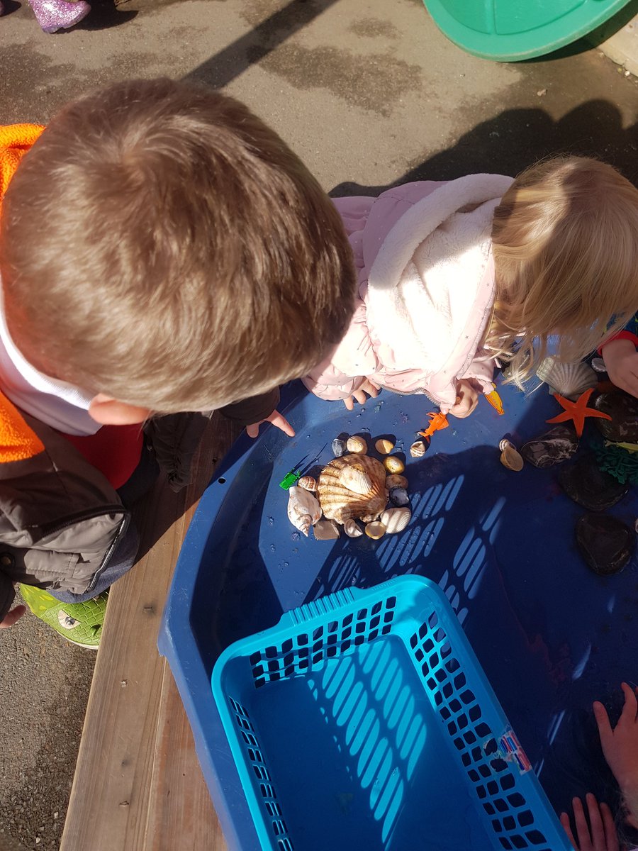 CallingtonPS's tweet photo. This week UFS have been designing and making their own rockpools. What a great way to learn about habitats, sea creature diets, animal features and even apply their phonics to label the designs.
#seacreatures #excitingtopic #plandoreview https://t.co/nU5LSkoiFq