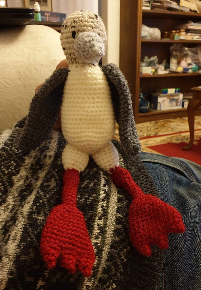 explorer_mel's tweet photo. Here is a rare #redfootedboobie from #yorkshire 😂 my friend is very talented and I look forward to receiving my new #biotscience research buddy ❤️ msg me if you'd like to buy one too! #crafts #birds https://t.co/Z79ykSdioB