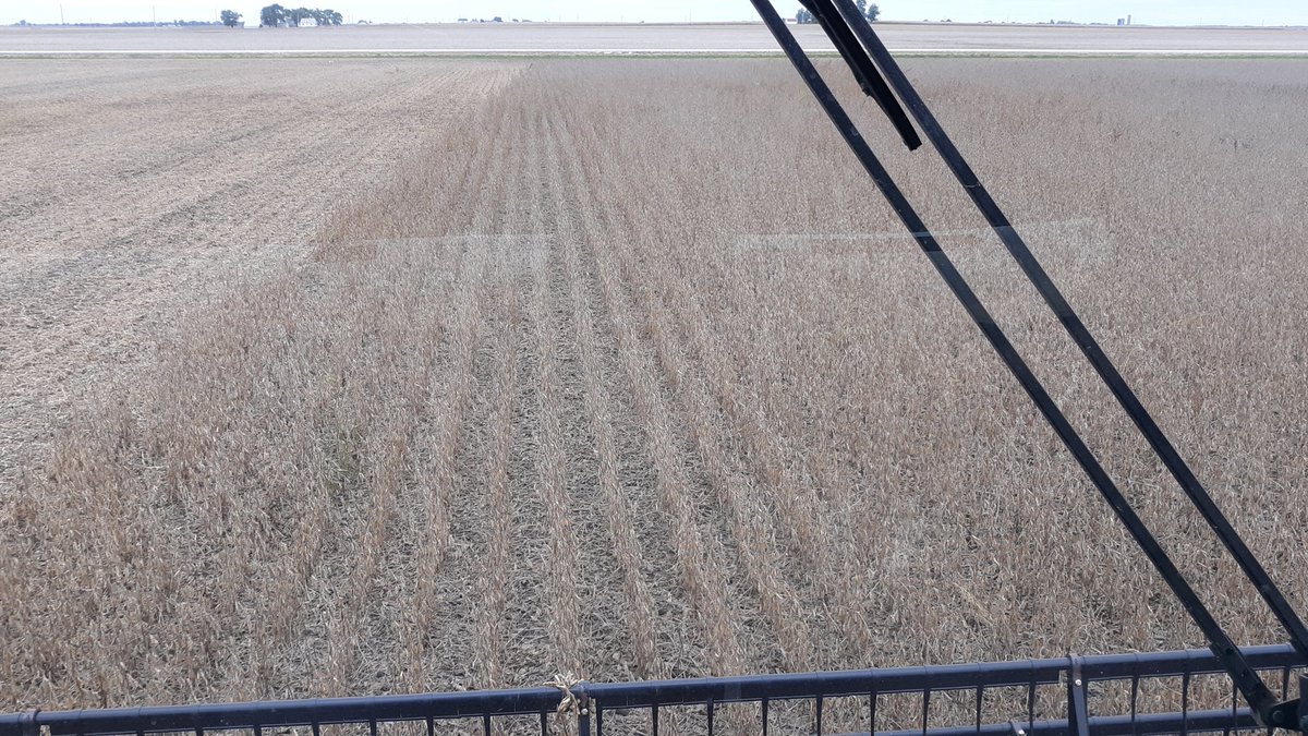 post_farms's tweet photo. Cold and windy but we're making progress. https://t.co/622gaPR6cQ