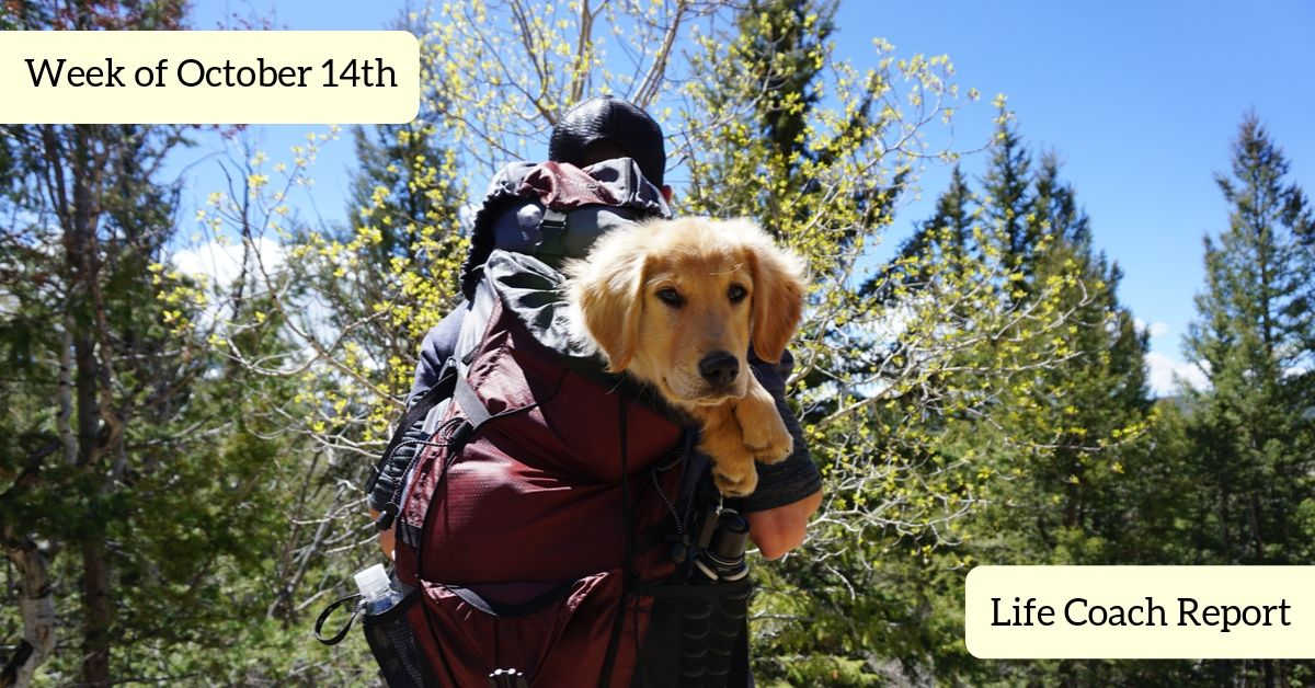 LifeCoachReport's tweet image. Wednesday is the day to think about finishing strong. So finish strong! Life Coach Report has the inspiration and techniques that will help. Let's go! 😘😁🤙🕵️‍♂️👨‍🚀👨‍🔧☀️🍌🥯☕️
lifecoachreport.com/2019/10/life-c…