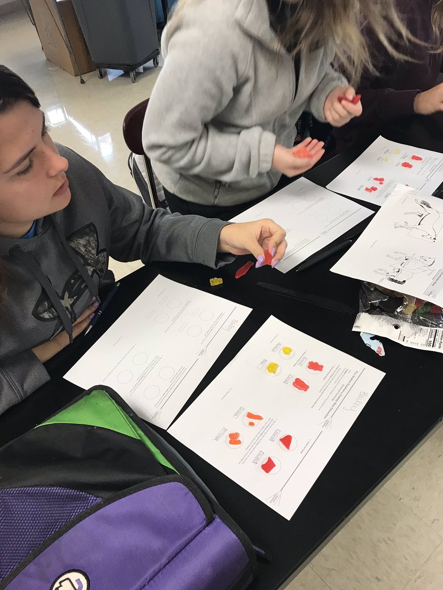 LVanegtern's tweet photo. Veterinary Science doing some additional practice with directional terminology. #AgScience #WAAE #AgEd #DodgelandProud https://t.co/4srfQl6OXT