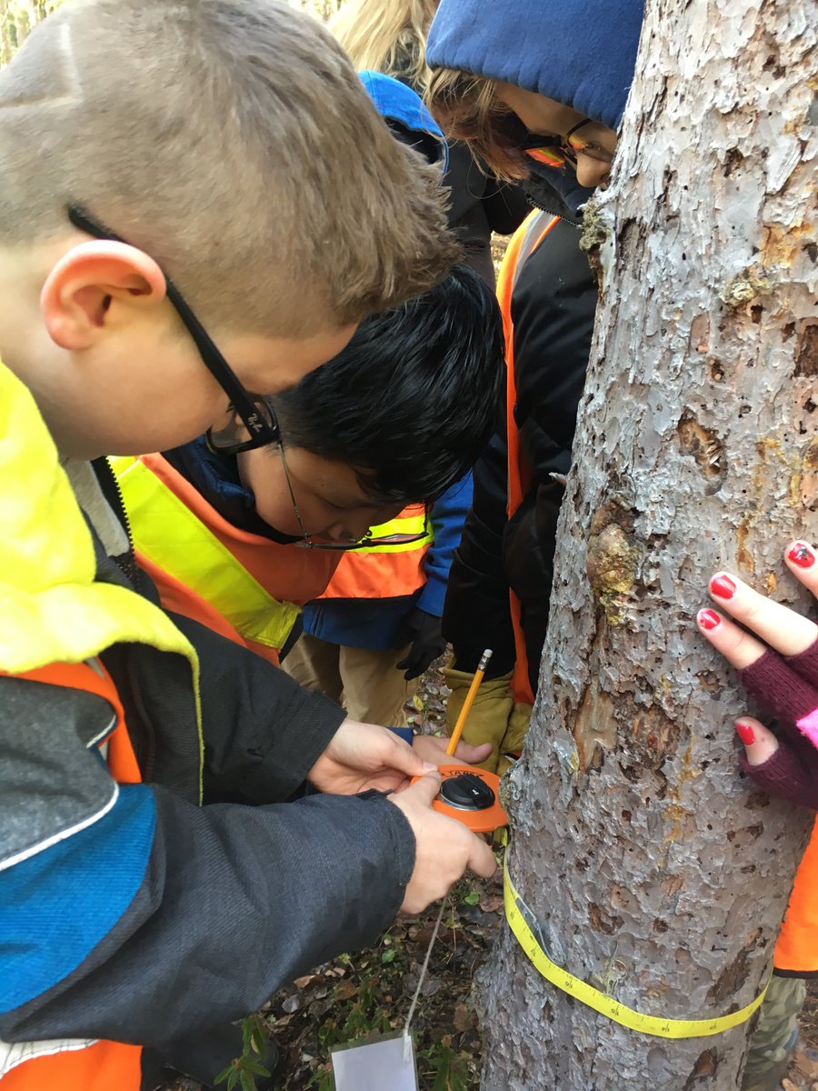 What a tree-mendous day! We are exploring with grade six students from Swan Hills school at Huestis Demonstration Forest 🌲☀️🍁
