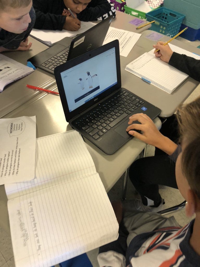Who doesn’t love penguins? 🐧Investigating heat transfers among penguins today while watching a live feed of them!