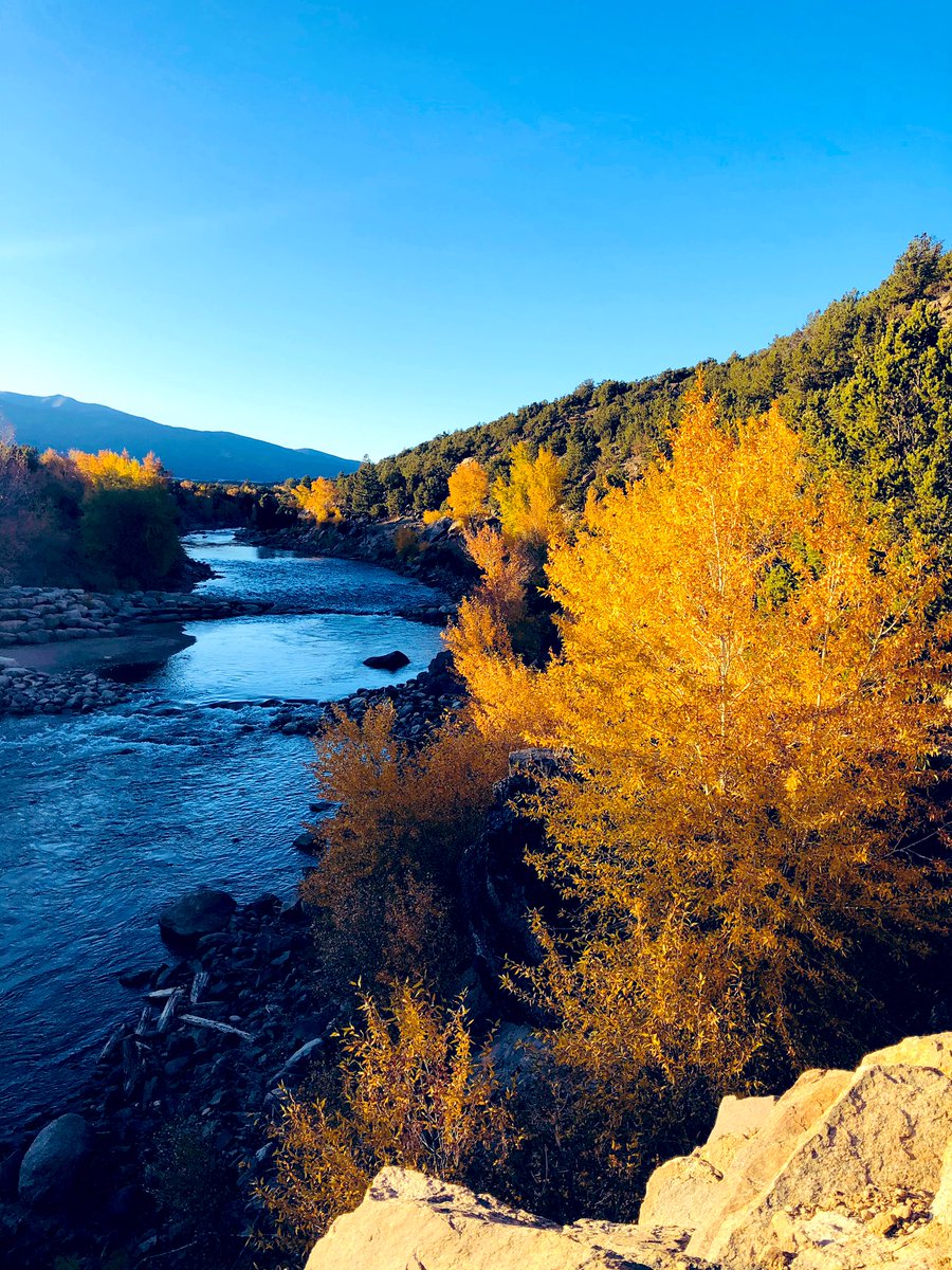 mountainmuser's tweet photo. What is not to love about fall colors! #autumn #fallcolors #PhotoOfTheDay #colorado #nature #naturephotography #getoutside https://t.co/IiHbsfd7Rr