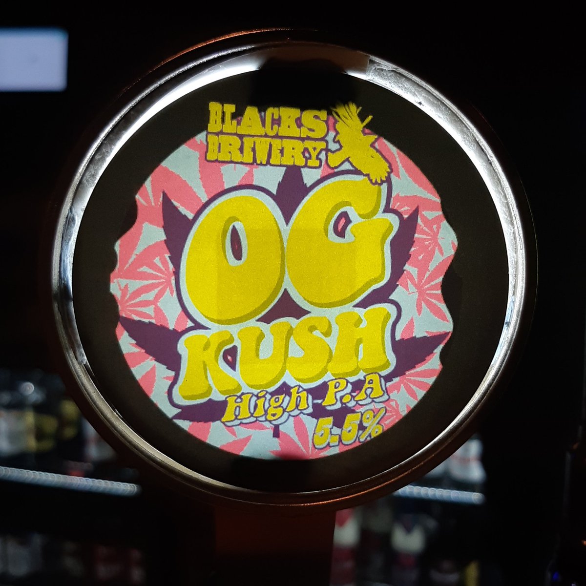 PaddleAnd's tweet image. Just tapped 🤙✌