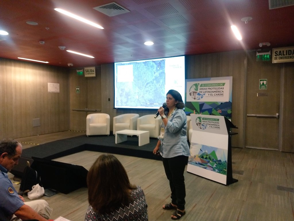 mpbertolini's tweet image. #fundaciontemaiken presente en el #IIICAPLAC contando la experiencia en #conservacion #privada y gestión de #areasprotegidas @Temaiken @lmgomezrios @GabyGurtner