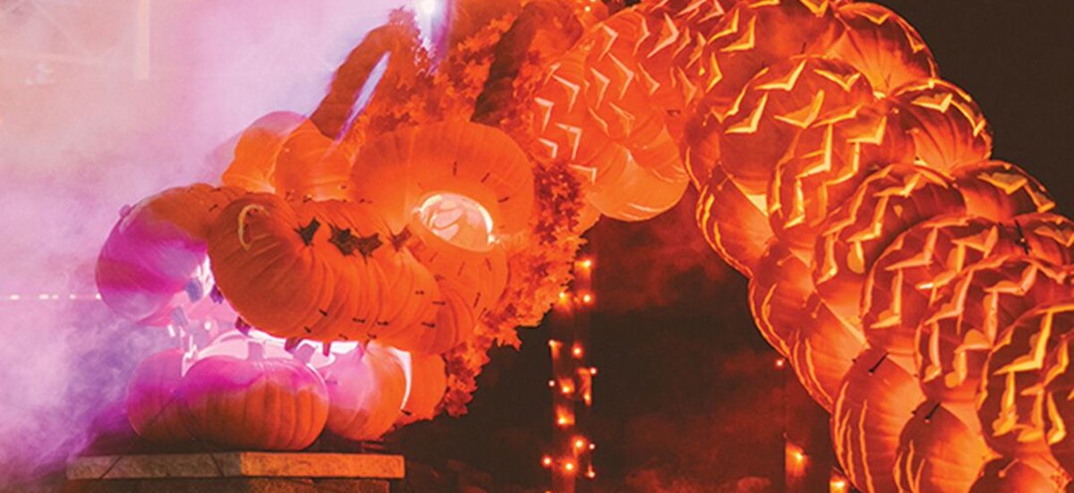 This October, carve out time for a new, magical adventure coming to the Dallas-Fort Worth area. #spooky #halloween #dallas ow.ly/tydJ50woygc