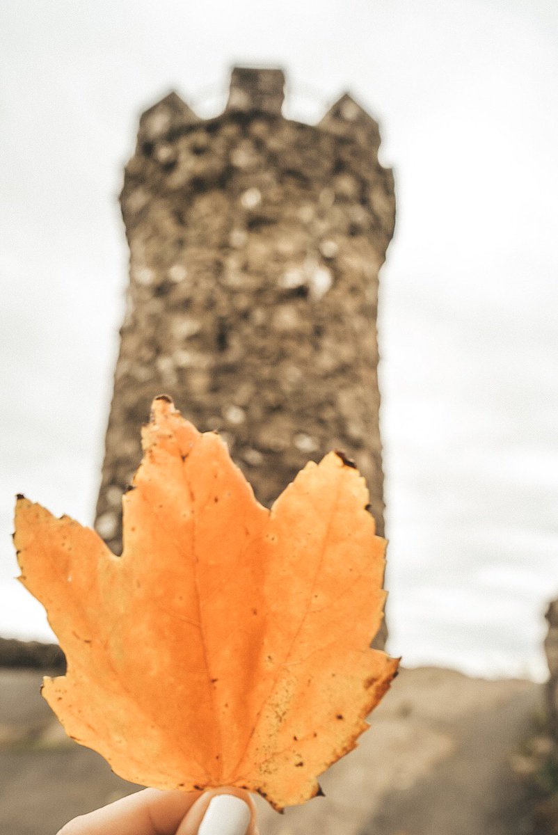 Connecticut is really showing its colors this week