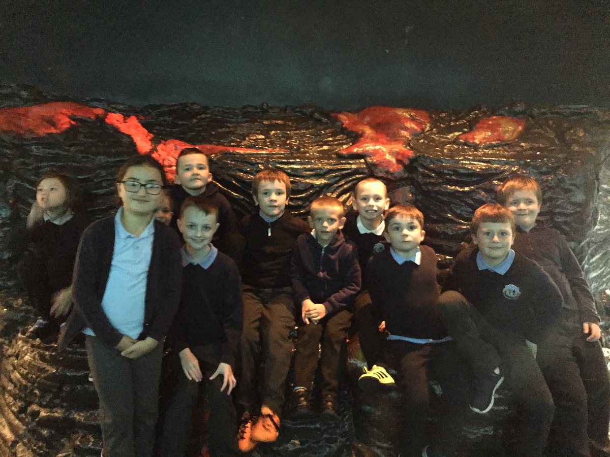 Pengeulanpri's tweet photo. A great trip to Cardiff museum today for Owls and Hawks #volcanos #greatbehaviour #engaged https://t.co/WfIqDUifEo