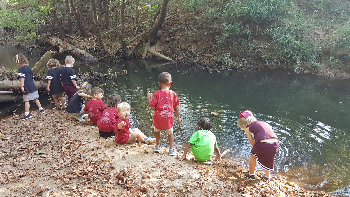 RendiPowers's tweet photo. Looking forward to our next Forest Friday!!   @cannonschool @fabhurt71 @melissafox027 #forestfridays #youbelonghere
#jrk
#juniorkindergarten
#preschool
#foresteducation https://t.co/6FBaZnT0ui
