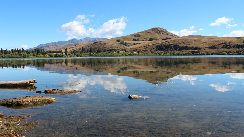 MyGuideNZ's tweet photo. The beauty of #lake #Hayes - only a 15 min drive from the centre of #Queenstown and well worth the effort. A great place for a picnic, walk or bike ride. #myguidetips #newzealand #nzmustsee #nzmustdo #nz https://t.co/2VYKfeq62x