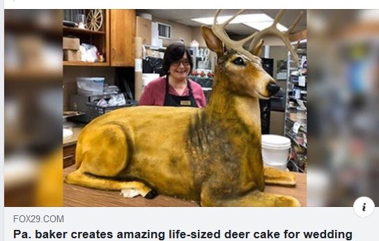 Chamois_Darwin's tweet photo. It's a #deercake π¦π° https://t.co/8yuZx9Hf7J